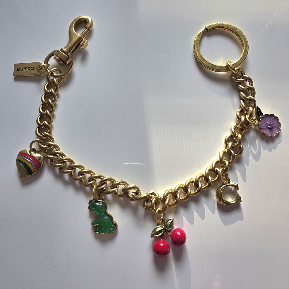 Charm Keychain/purse Charm with Colorful Charms